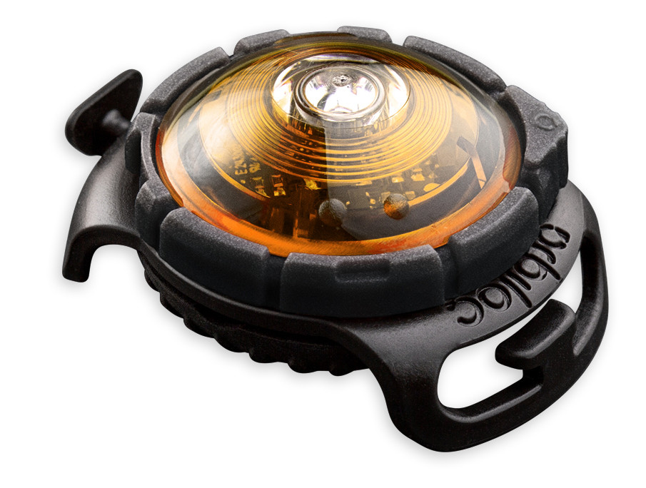 Orbiloc Safety Light Dog Dual geel | Willemse Dierenvoeders