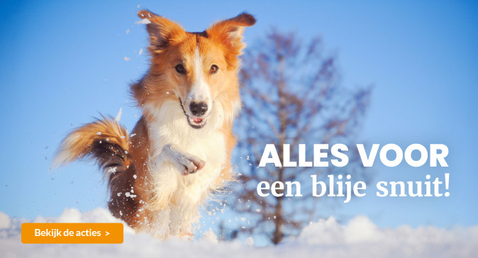 slider februari 2026 674x364