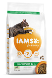 IAMS kattenvoer Adult Lamb 3 kg