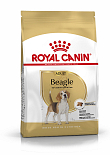 Royal Canin hondenvoer Beagle Adult 12 kg