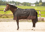 Harry's Horse Regendeken 0 gr Thor Jet Black