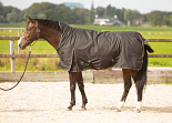 Harry's Horse Outdoordeken Thor Highneck 200 Jet Black