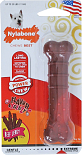 Nylabone Regular Bot Beef Jerky