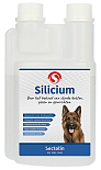 Sectolin Silicium 500 ml