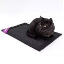 Petrebels Mastermat 80 Black