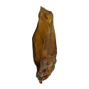 Runderoren met Oorschelp 25 st