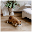 District 70 Voerbakstandaard Butler Enkel Beige