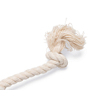 Beeztees Puppy Dental Speeltouw Fem<br> Ø 6,5 x 20 cm