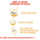 Royal Canin Hondenvoer Shih Tzu Adult 1,5 kg