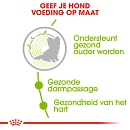 Royal Canin Hondenvoer<br> X-Small Ageing 12+<br> 1.5 kg