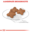 Royal Canin hondenvoer Mini Adult 2 kg