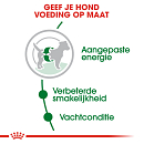 Royal Canin hondenvoer Mini Adult 2 kg