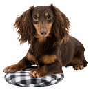 TRIXIE Warmtekussen voor de magnetron <br>26 cm zwart/wit