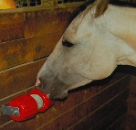Jolly Jumbo Sweet Lick Holder