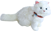 lief! lifestyle Girls Kattenhalsband 35 cm