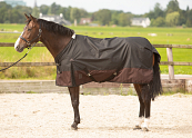 Harry's Horse Regendeken 0 gr Thor Jet Black