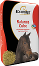 EquiFirst Balance Cube 20 kg