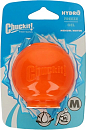 Chuckit! Hydrofreeze Ball