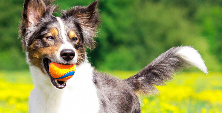Let's Play!