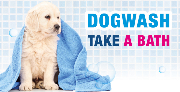 Dogwash in onze winkel