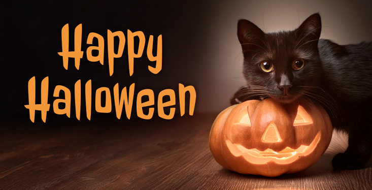 Happy Halloween