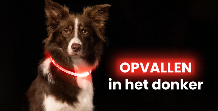 Veilig naar buiten in het donker