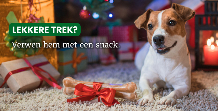 Overheerlijke hondensnacks