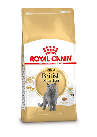 Royal Canin kattenvoer British Shorthair Adult <br>10 kg