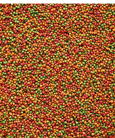 Versele-Laga <br>NutriBird B14 800 gr