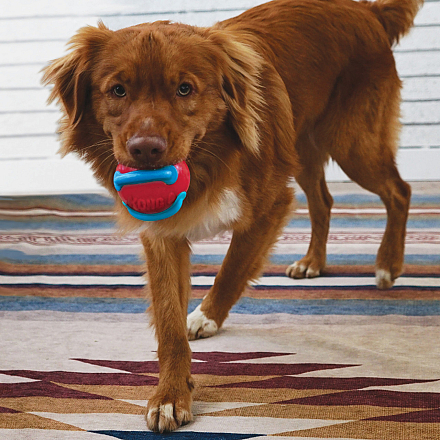 Kong Jaxx Brights Ball Assorti L