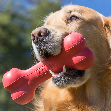 Kong Goodie Bone S