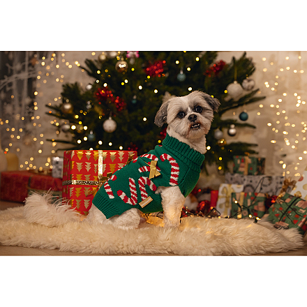 Beeztees Kersttrui Candy Canes