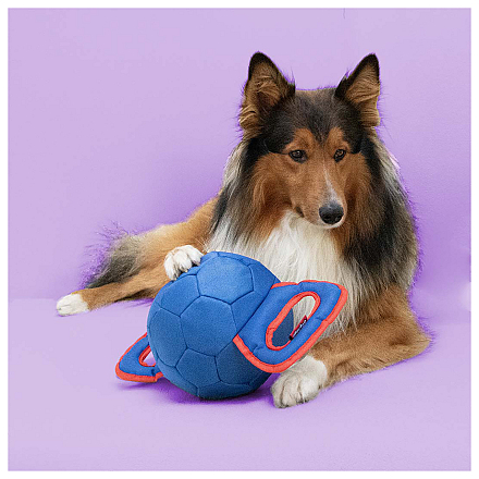 Coockoo Hondenspeelgoed Power Pully Assorti M