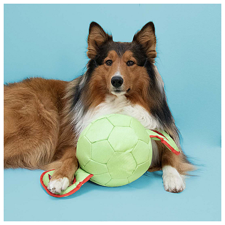 Coockoo Hondenspeelgoed Power Pully Assorti M