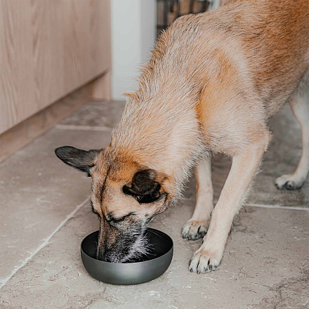 District 70 Voer- en Drinkbak Royal Antraciet