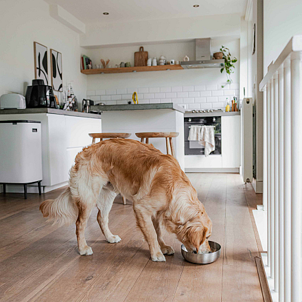 District 70 Voer- en Drinkbak Royal Silver