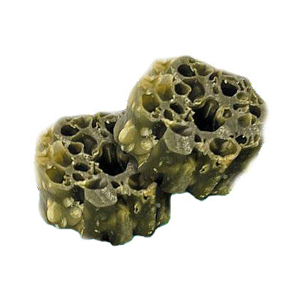 Knash Woofa Loofa Bites Dental Mint & Parsley 100 gr