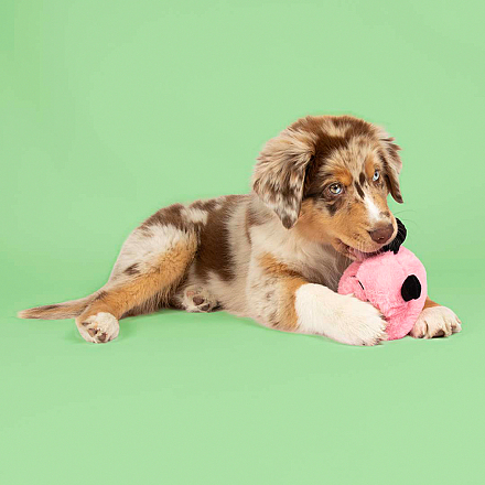 Coockoo Hondenspeelgoed Bouncy Buddy Roze