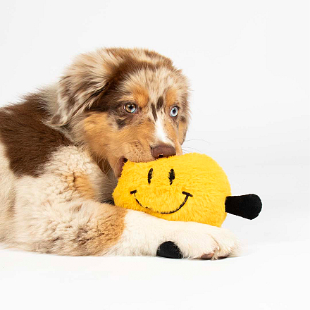 Coockoo Hondenspeelgoed Bouncy Buddy Geel