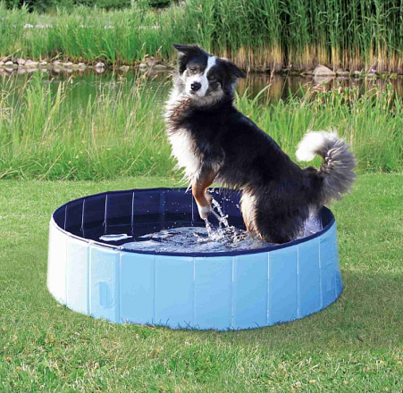 TRIXIE Hondenzwembad blauw 120 cm