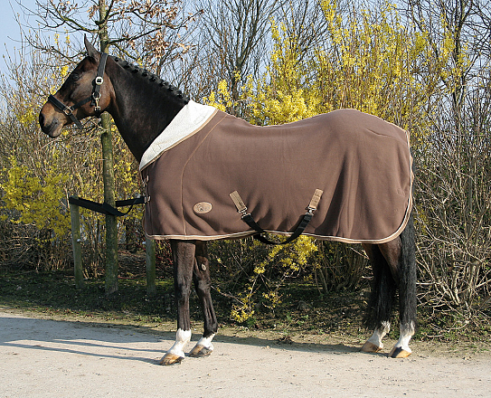 Harry's Horse teddyfleece deken
