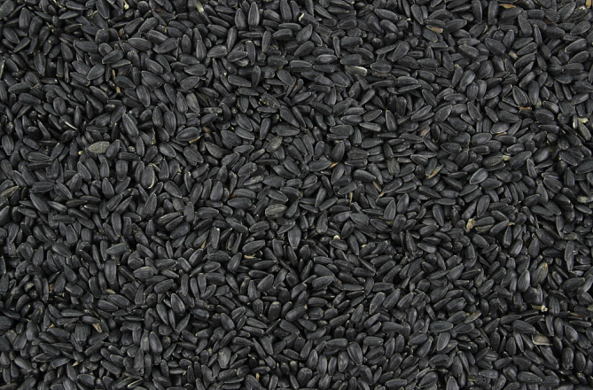 Zonnepitten Zwart <br>500 gr