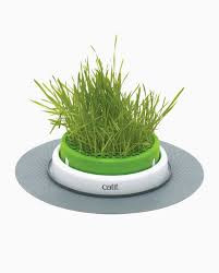 Catit Senses 2.0 Grass Planter