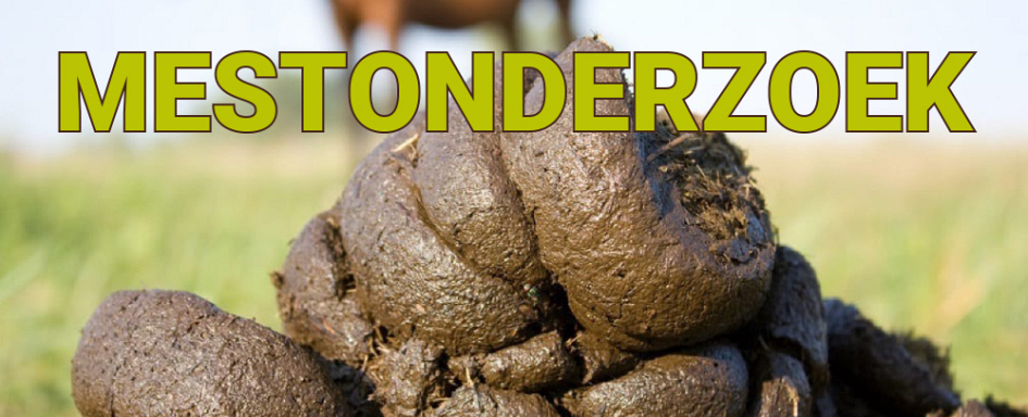 Mestonderzoek paarden