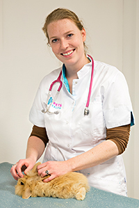 Judith Sabbé