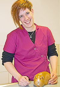 Lindsey Hagemeijer