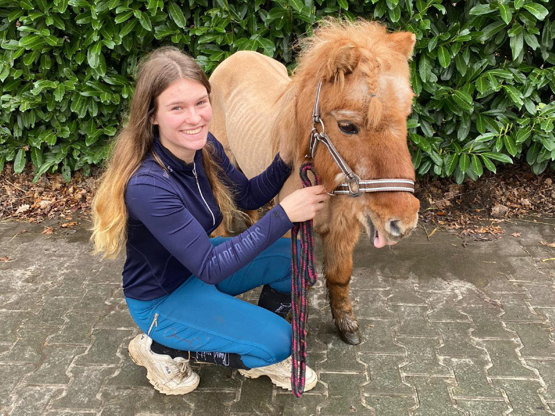 Paard Zoekt Baas